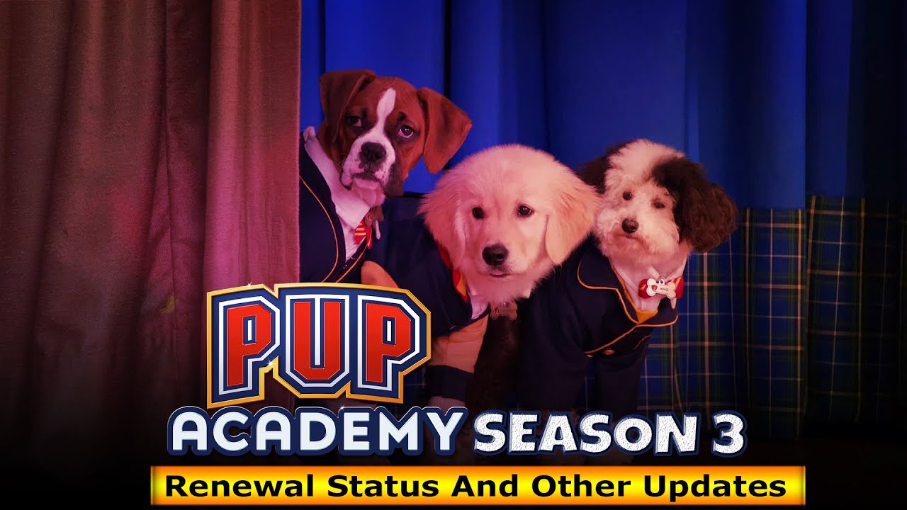 Pup Academy Season 3 Release Date, Cast, Plot, And More | Box Office Release